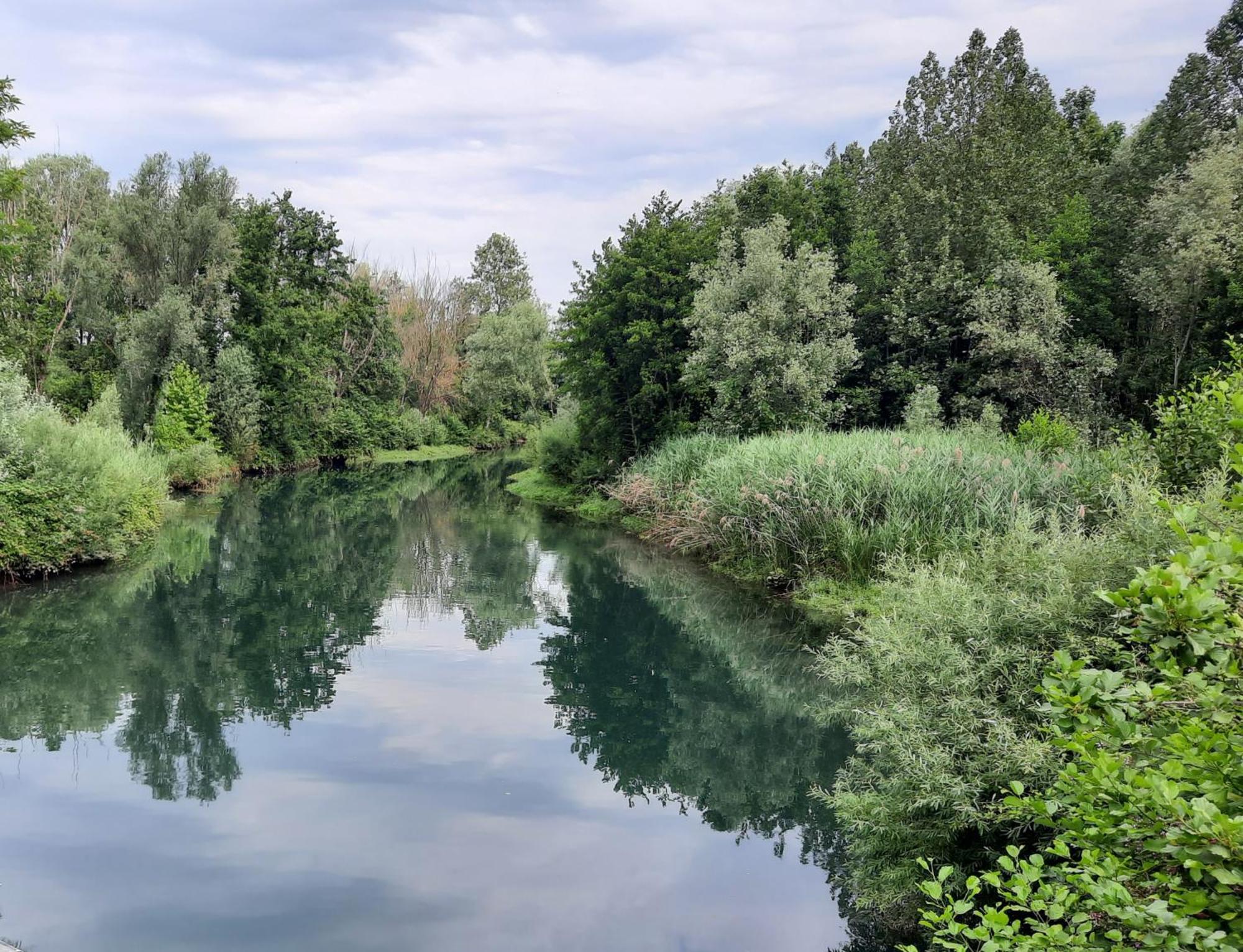 Siore Marie Gli Alloggi San Giórgio di Nogaro エクステリア 写真